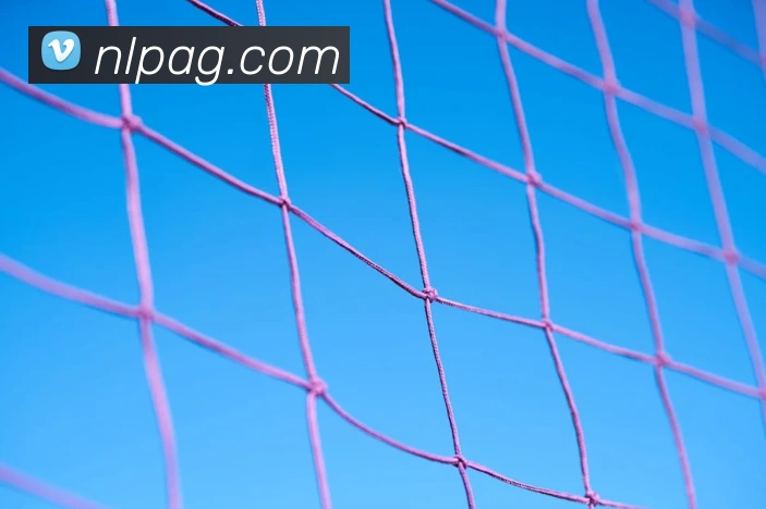 ag官网品牌故事