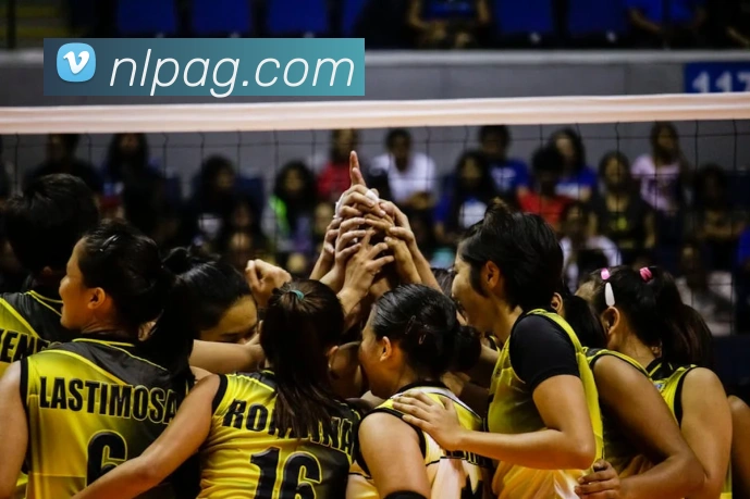 ag官网服务体系